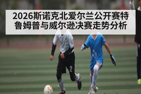 2026斯诺克北爱尔兰公开赛特鲁姆普与威尔逊决赛走势分析